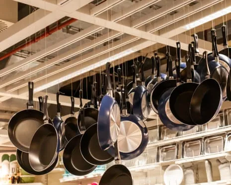 Teflon Diet, Garlic Milk and Zebra Cows Triumph at 2025 Alternative Science Awards